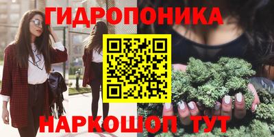 Альфа ПВП Лесосибирск