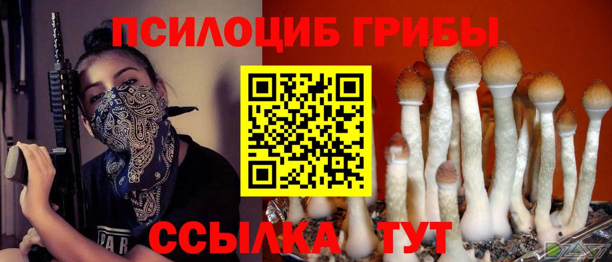 Гусь-Хрустальный  Галлюциногенные грибы мицелий  Вход с VPN 